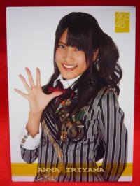 AKB48オフィシャルトレーディングカード【入山杏奈】R241N ノーマルカード