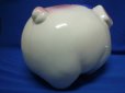 画像4: 陶器製の豚（ブタ・ぶた）の貯金箱（チョキンバコ・ちょきんばこ） (4)