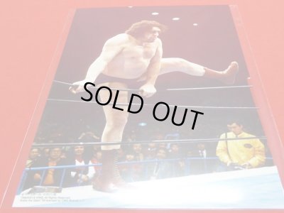 画像4: 『アンドレザジャイアント』ポートレート/16dソフビコレクション/003/WWE/アンドレ/週刊プロレスコーナー限定★特典/新品 