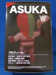 画像6: 16dソフビコレクション/011/WWE【ASUKA(Green Mask Ver.】限定/HAO/ジュウロクホウイ/ソフビ/フィギュア/人形/新品/女子プロレス