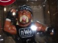 画像3: 16dソフビコレクション/018/WWE【ハリウッドハルクホーガン(nWo Ver.)限定】HAO/ジュウロクホウイ/ソフビ/フィギュア/人形/新品/WCW