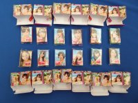 ぷっちょワールド ＡＫＢ４８ オリジナル写真集（全12種類）超ミニ写真集/AKBちょ/グッズ/新品