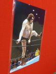 画像3: 『アンドレザジャイアント』ポートレート/16dソフビコレクション/003/WWE/アンドレ/週刊プロレスコーナー限定★特典/新品 