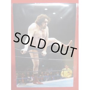 画像: 『アンドレザジャイアント』ポートレート/16dソフビコレクション/003/WWE/アンドレ/週刊プロレスコーナー限定★特典/新品 