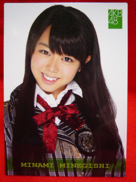 AKB48オフィシャルトレーディングカード【峯岸みなみ】R139N ノーマル 