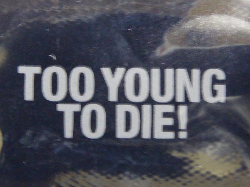 画像2: 『ＴＯＯ　ＹＯＵＮＧ　ＴＯ　ＤＩＥ！若くして死ぬ』[ポーチ]TOKIO/長瀬智也/グッズ 