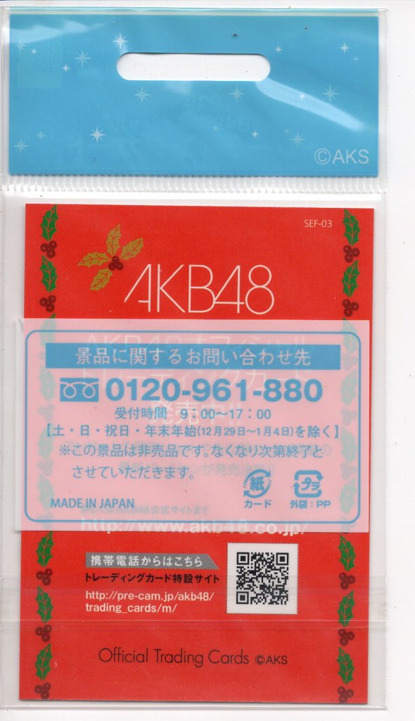 画像2: AKB48オフィシャル トレーディングカード／SEF-03『峯岸みなみ』セブンイレブン限定／新品